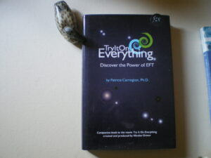 Try it on Anything The Power of E F T Dr Patricia Carrington