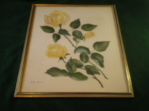 Original botanical watercolour Carolyn Sammis ?