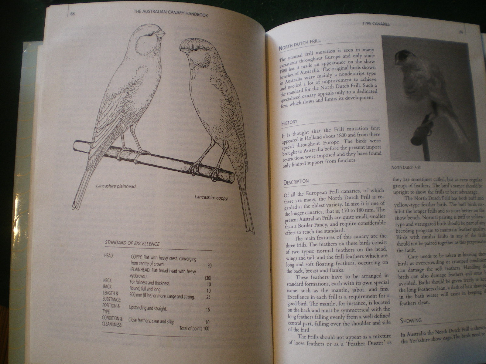 The Australian Canary Handbook J Leaney and F Williams - Image 7