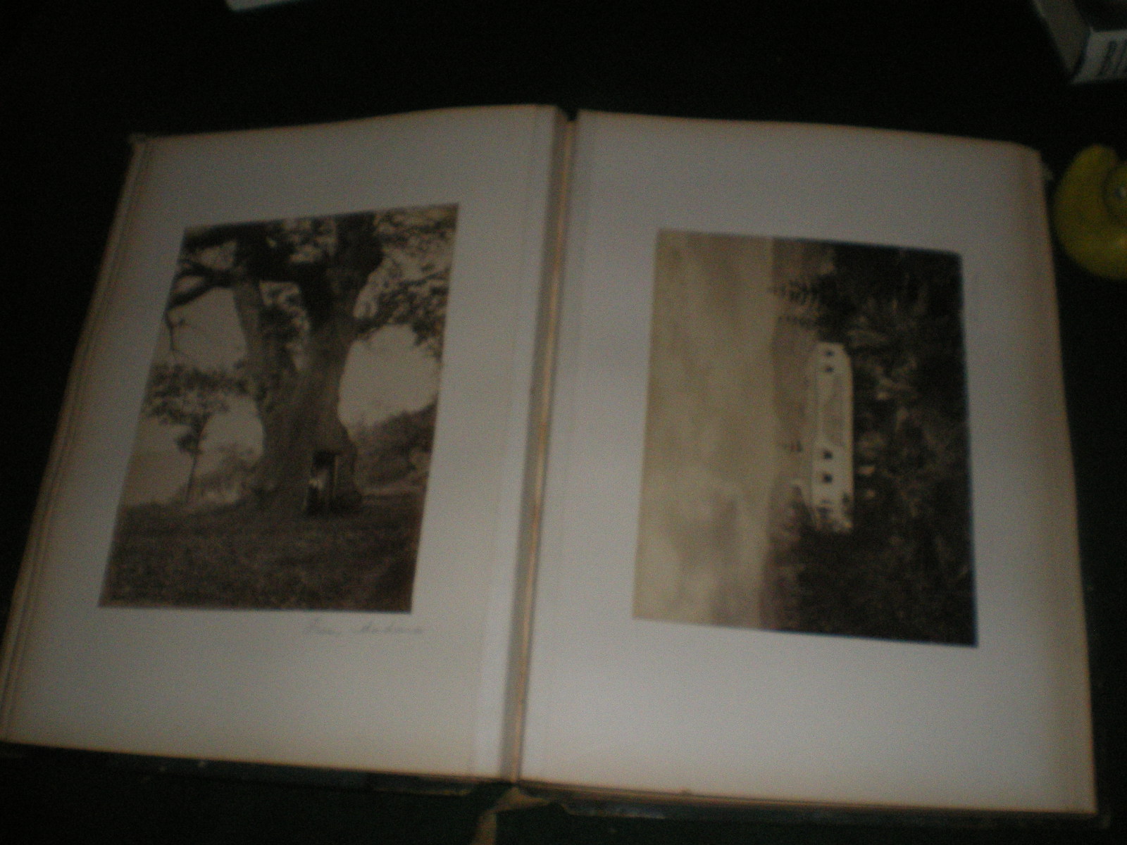 Private Photograph Album from a tour of Europe and South America c. 1902 - Image 5