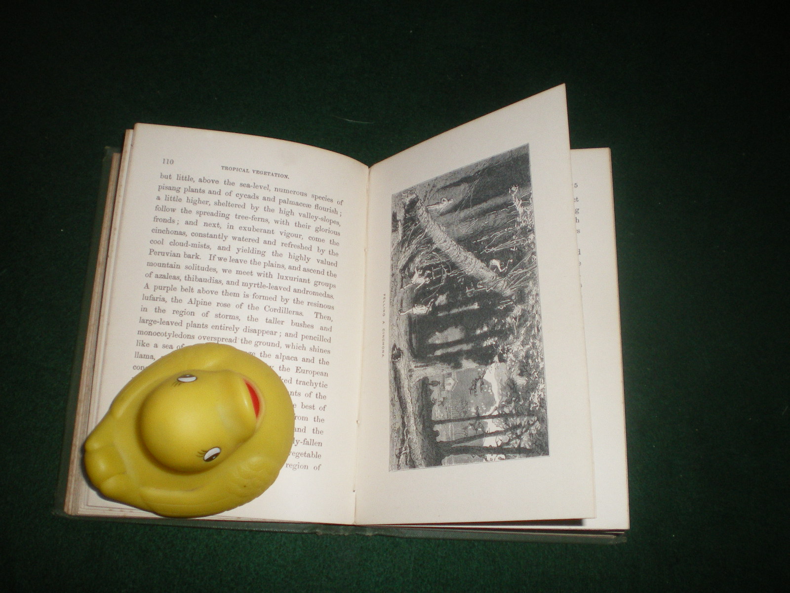 The Story Of The Life And Times Of Alexander von Humboldt (1st edition) by Alexander von Humboldt. Thomas Nelson and Sons, 1879. - Image 3