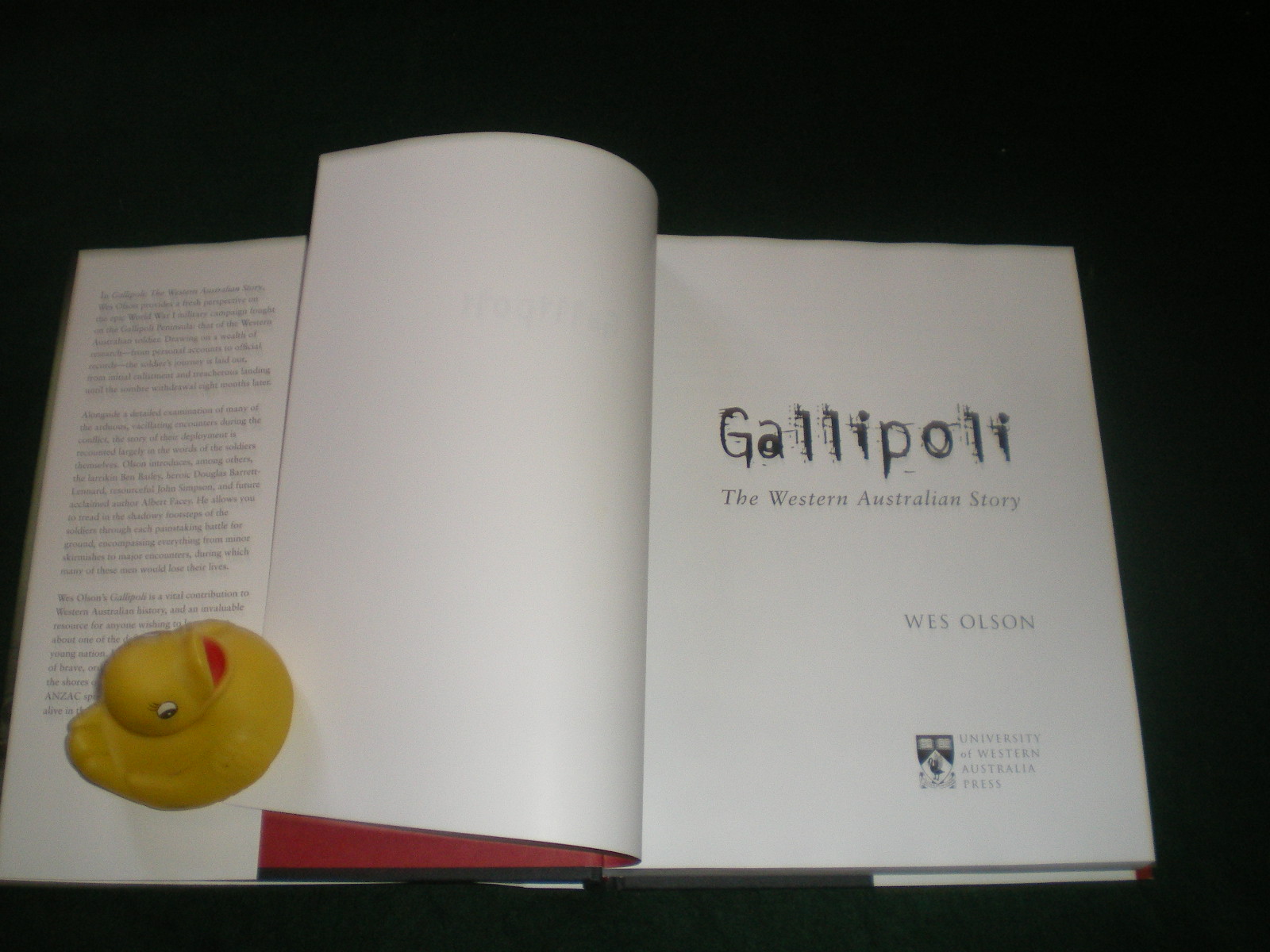 Gallipoli (1st edition) by Wes Olson - Image 5