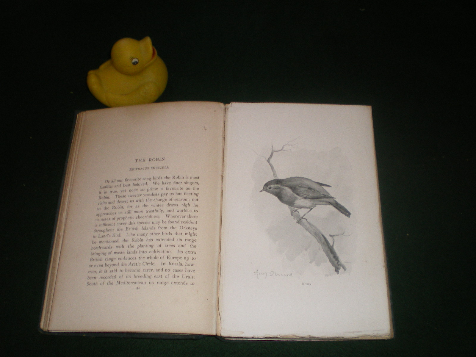 Our Favourite Song Birds by Charles Dixon. Illustrated by B. Stannard. Lawrence and Bullen, 1897. - Image 5