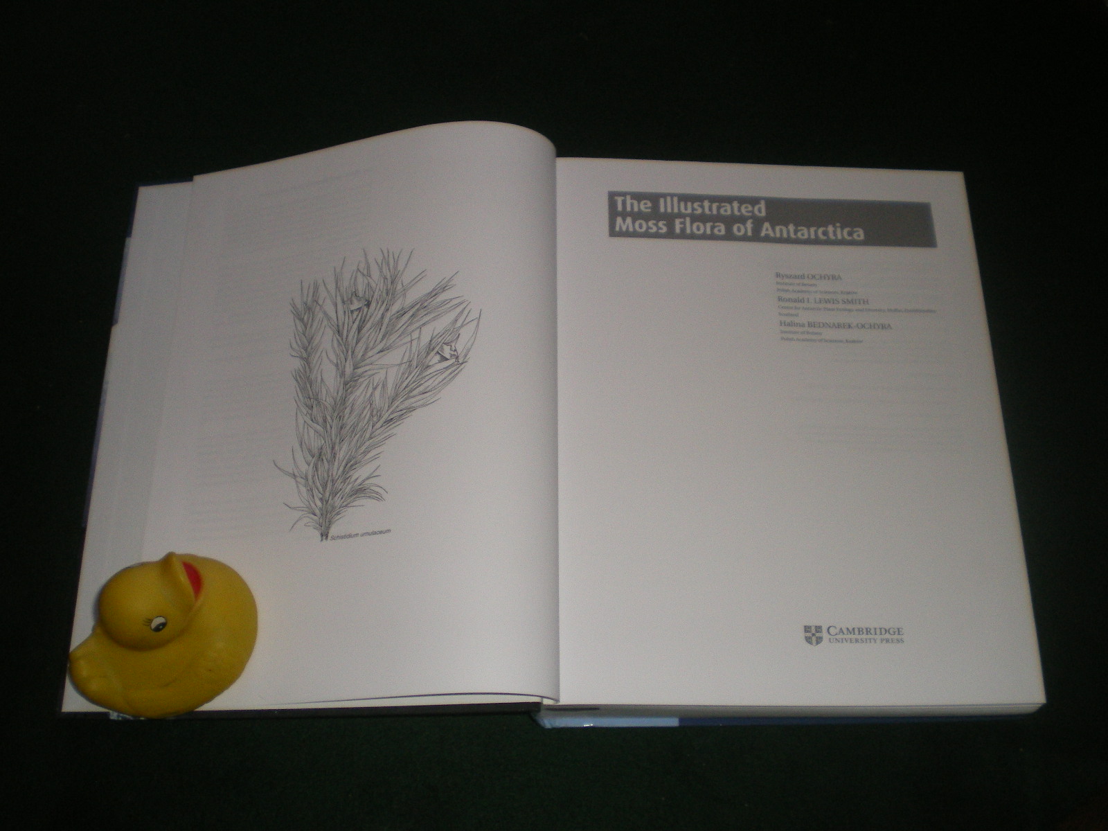 The Illusrated Moss Flora Of Antartica (1st edition) by Rhyzard Ochyra et al. Cambridge University Press, 2008. - Image 5