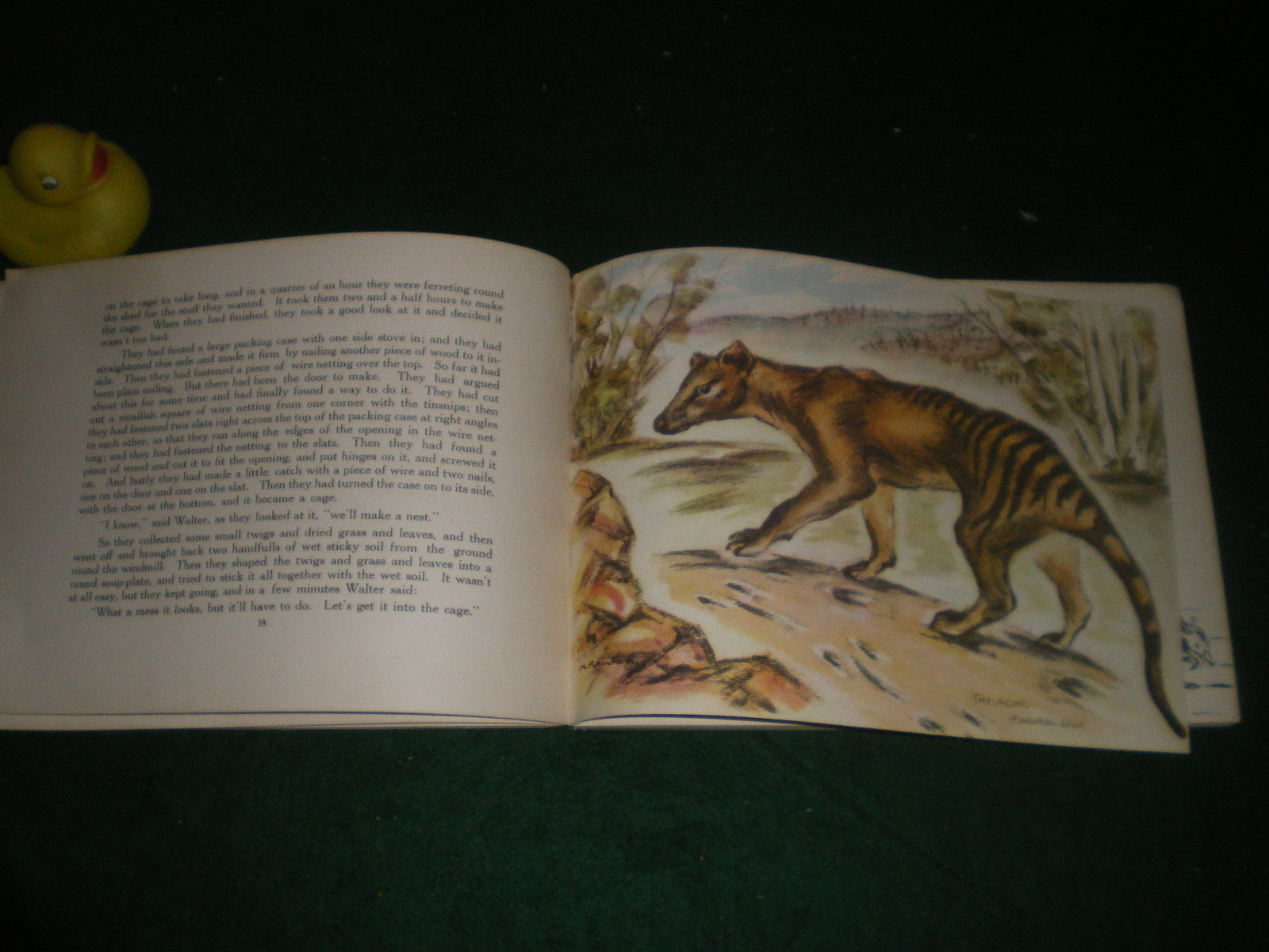 Australian Holiday (1st edition) written by Alec & Catherine King; illustrated by Marjorie Rankin. Georgian House, 1945 - Image 4