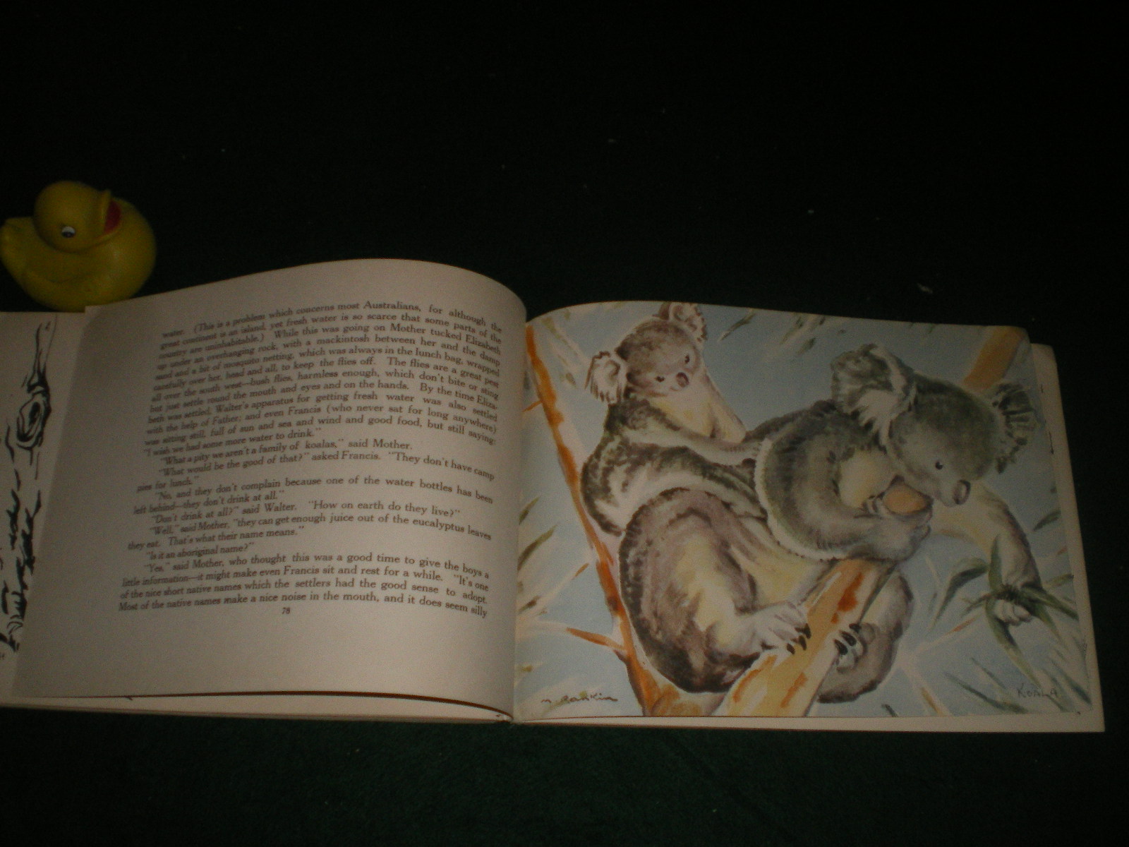 Australian Holiday (1st edition) written by Alec & Catherine King; illustrated by Marjorie Rankin. Georgian House, 1945 - Image 3