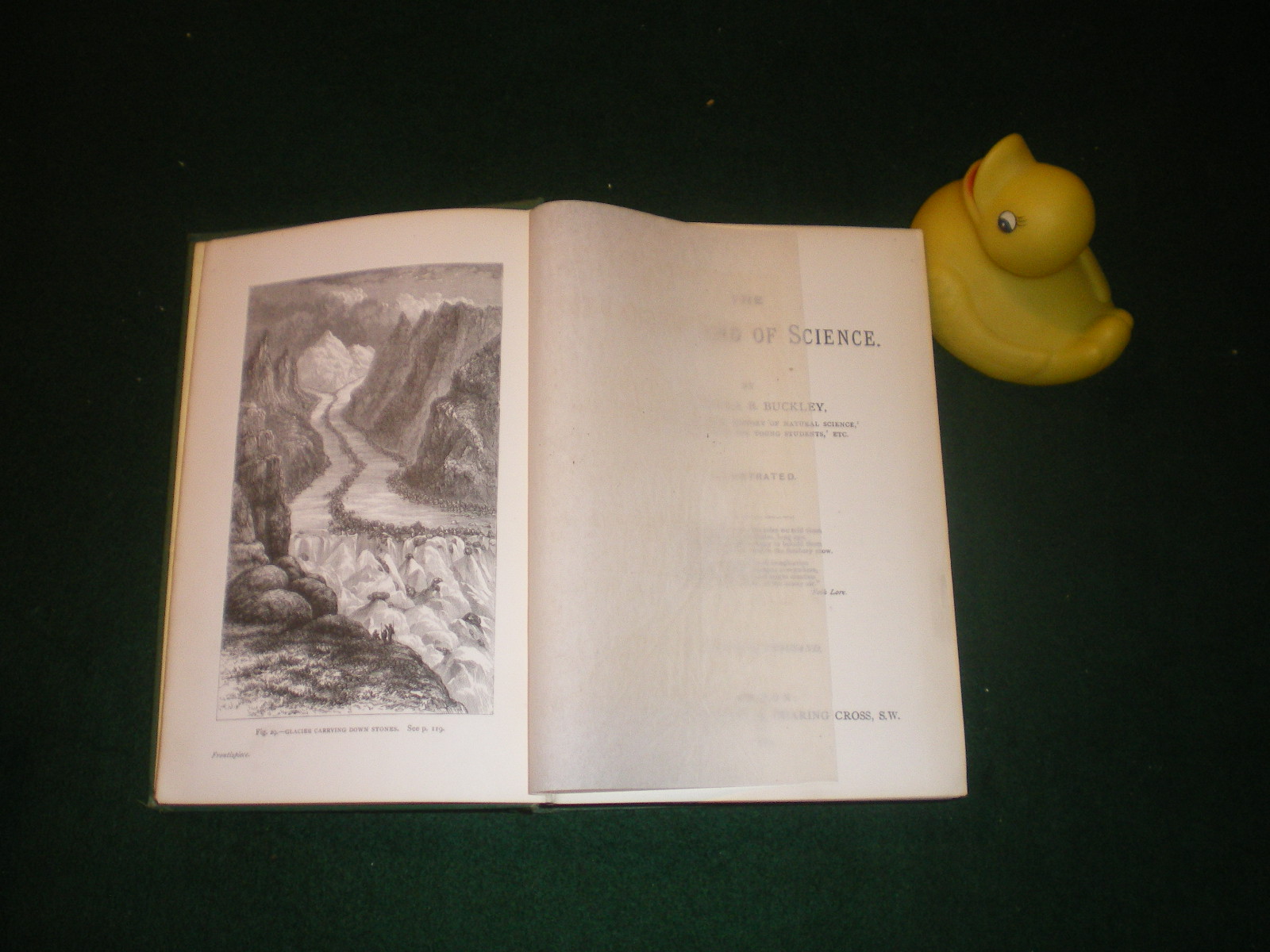 The Fairy-Land Of Science (1st edition) by Arabella B. Buckley. Edward Stanford, 1881. - Image 6