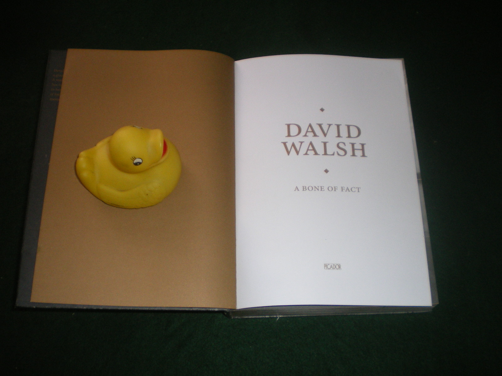 アート・デザイン・音楽 David Walsh A Bone of Fact アート・デザイン・音楽 David Walsh A Bone of Fact A Bone of