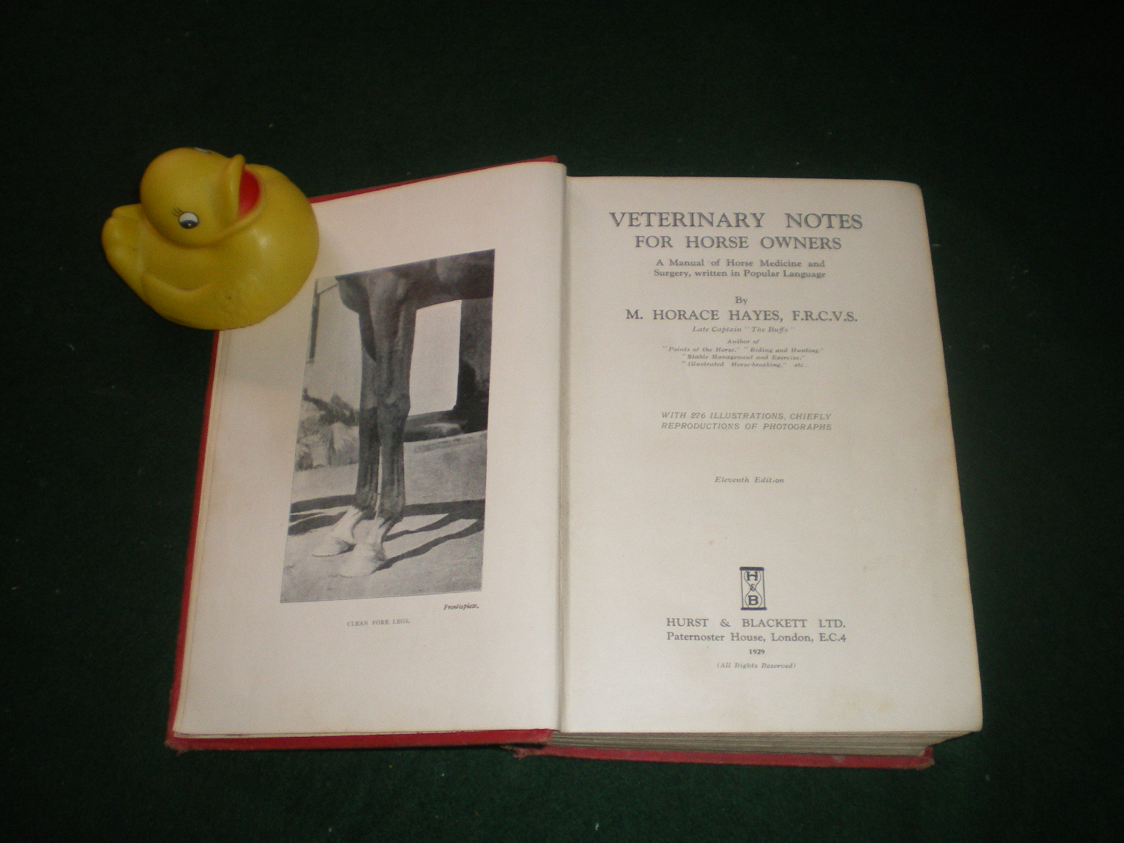 Veterinary Notes For Horse Owners: A Manual Of Horse Medicine And Surgery by Capt. M. H. Hayes 1929 - Image 6