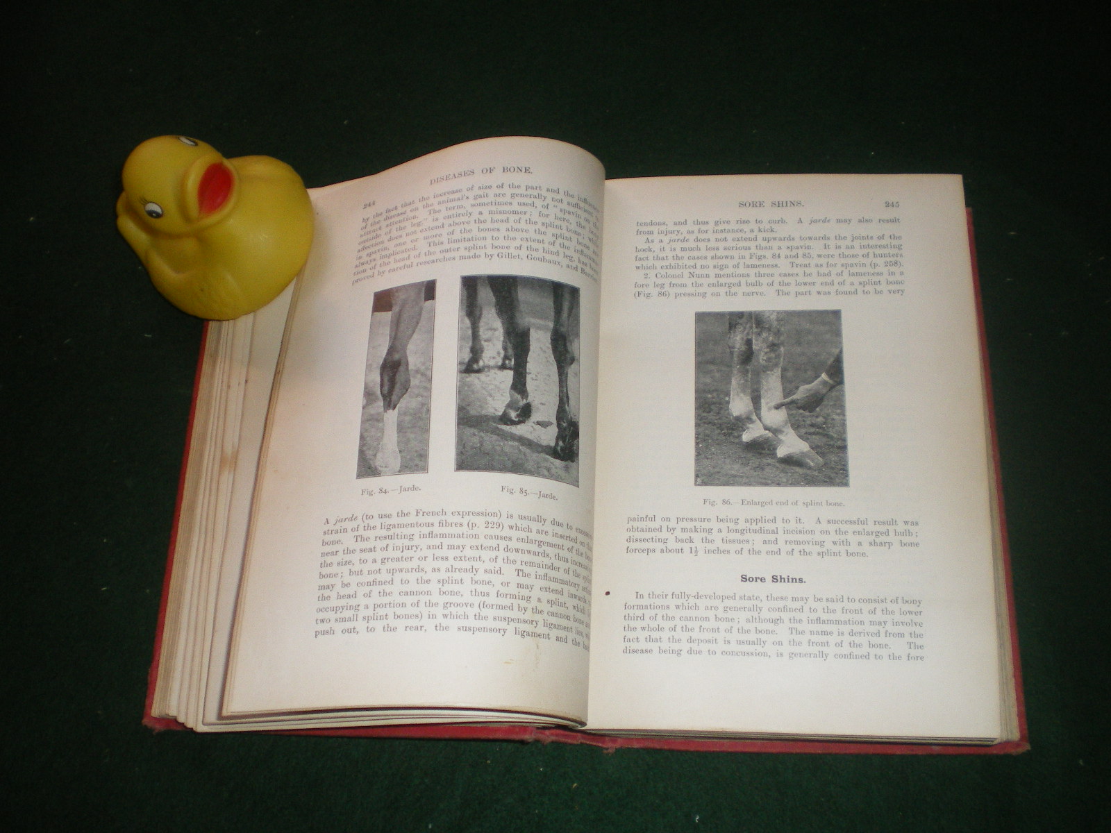 Veterinary Notes For Horse Owners: A Manual Of Horse Medicine And Surgery by Capt. M. H. Hayes 1929 - Image 3