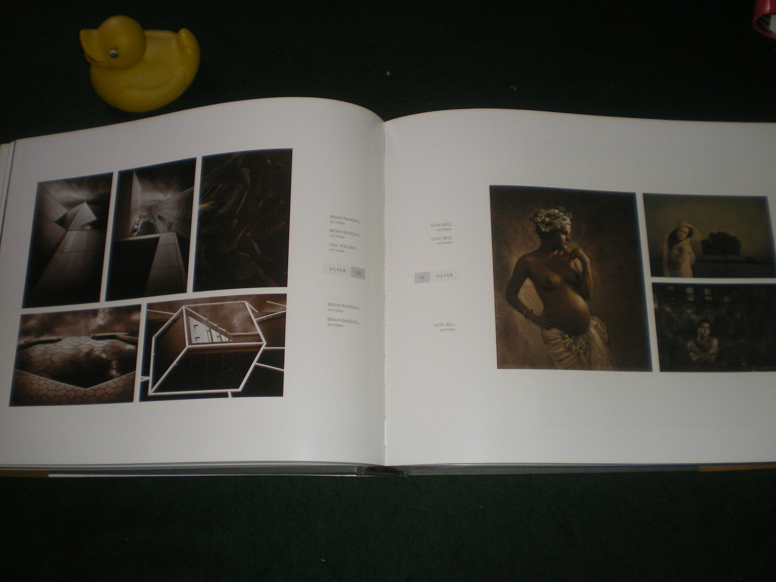 Canon/AIPP Australian Professional Photography Awards No.34 2010 Australian - Institute Australian of Professional Photography - Image 4