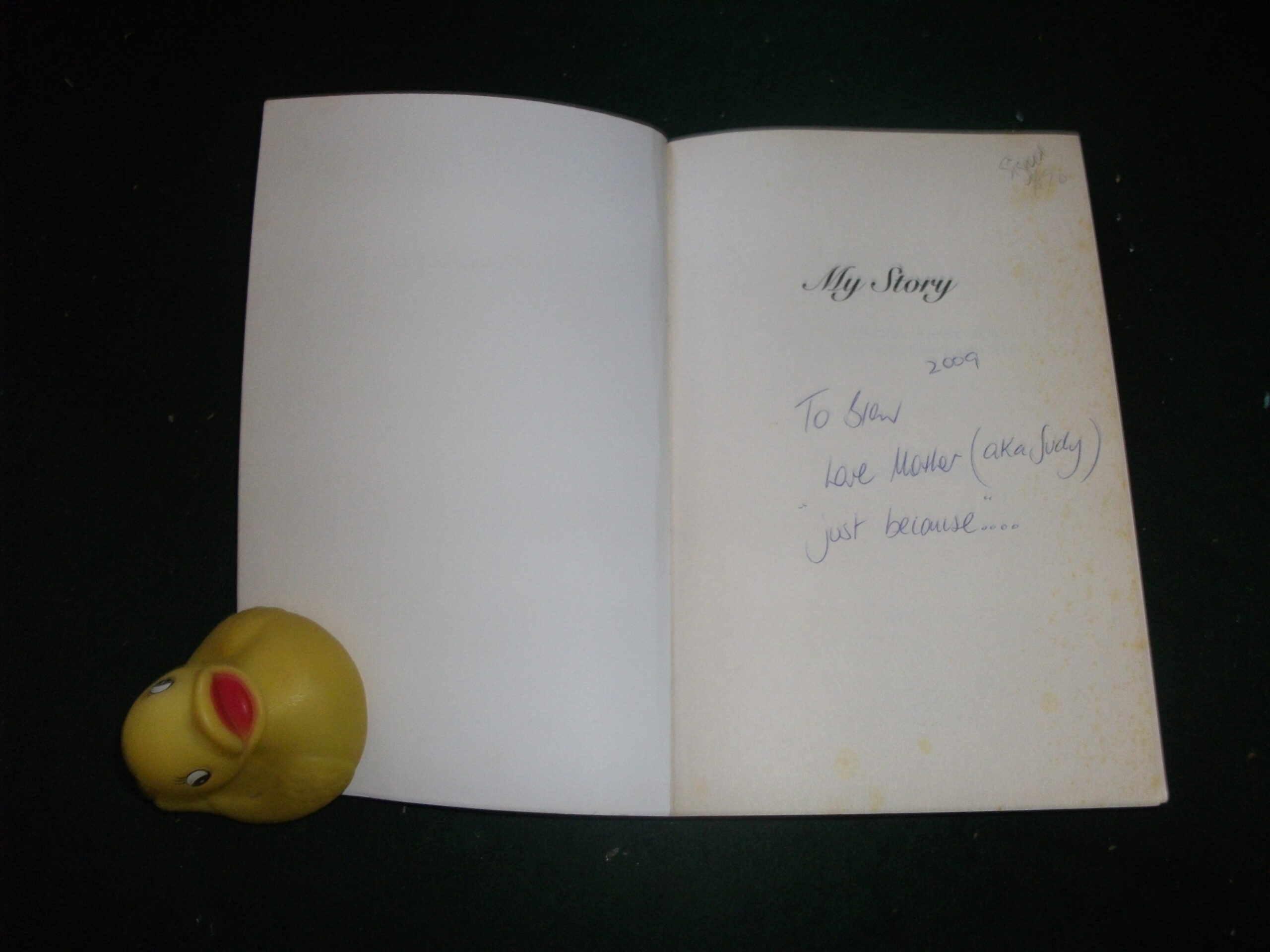 My Story (signed) by Judith Moran - Image 5