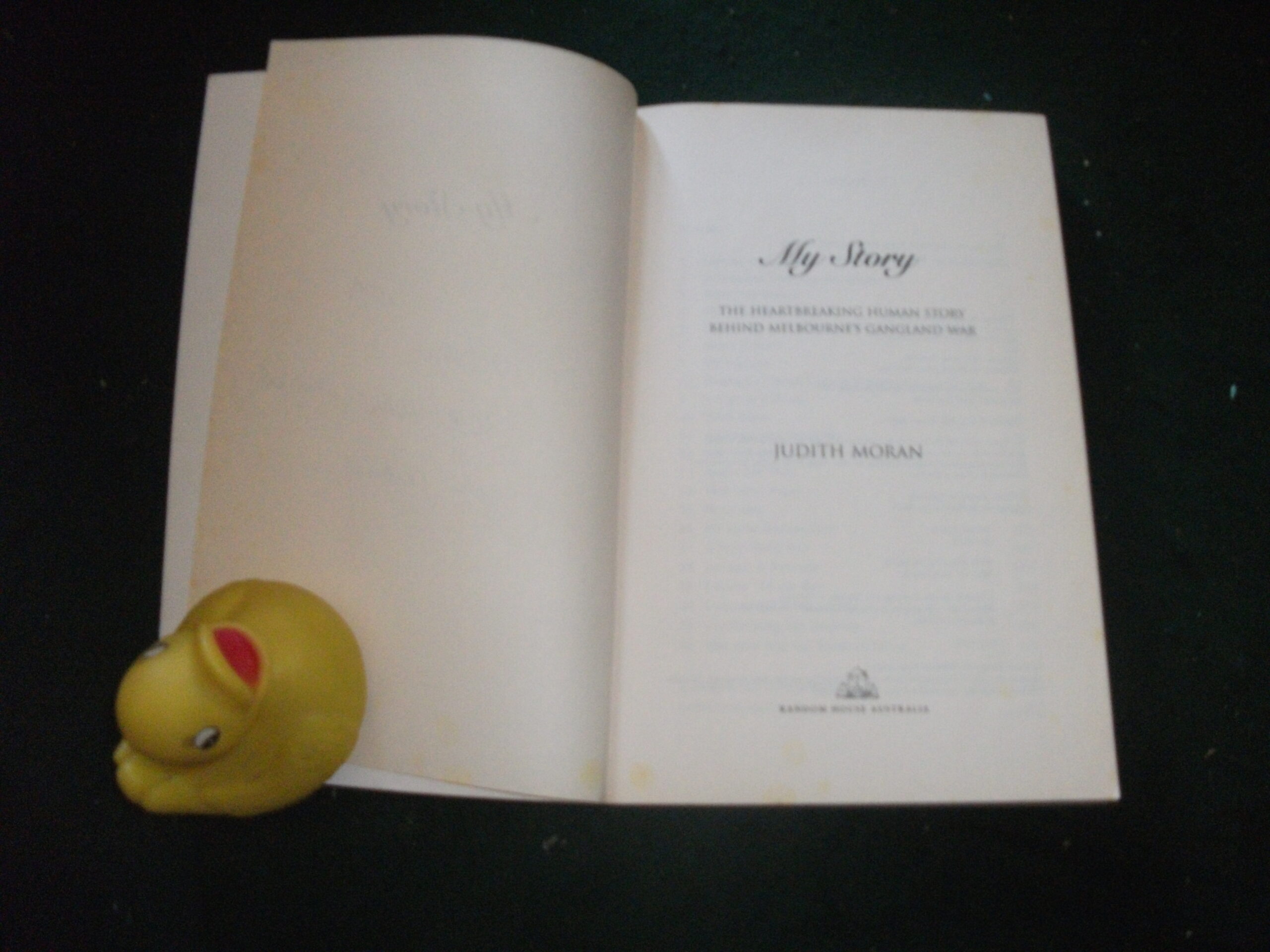 My Story (signed) by Judith Moran - Image 4