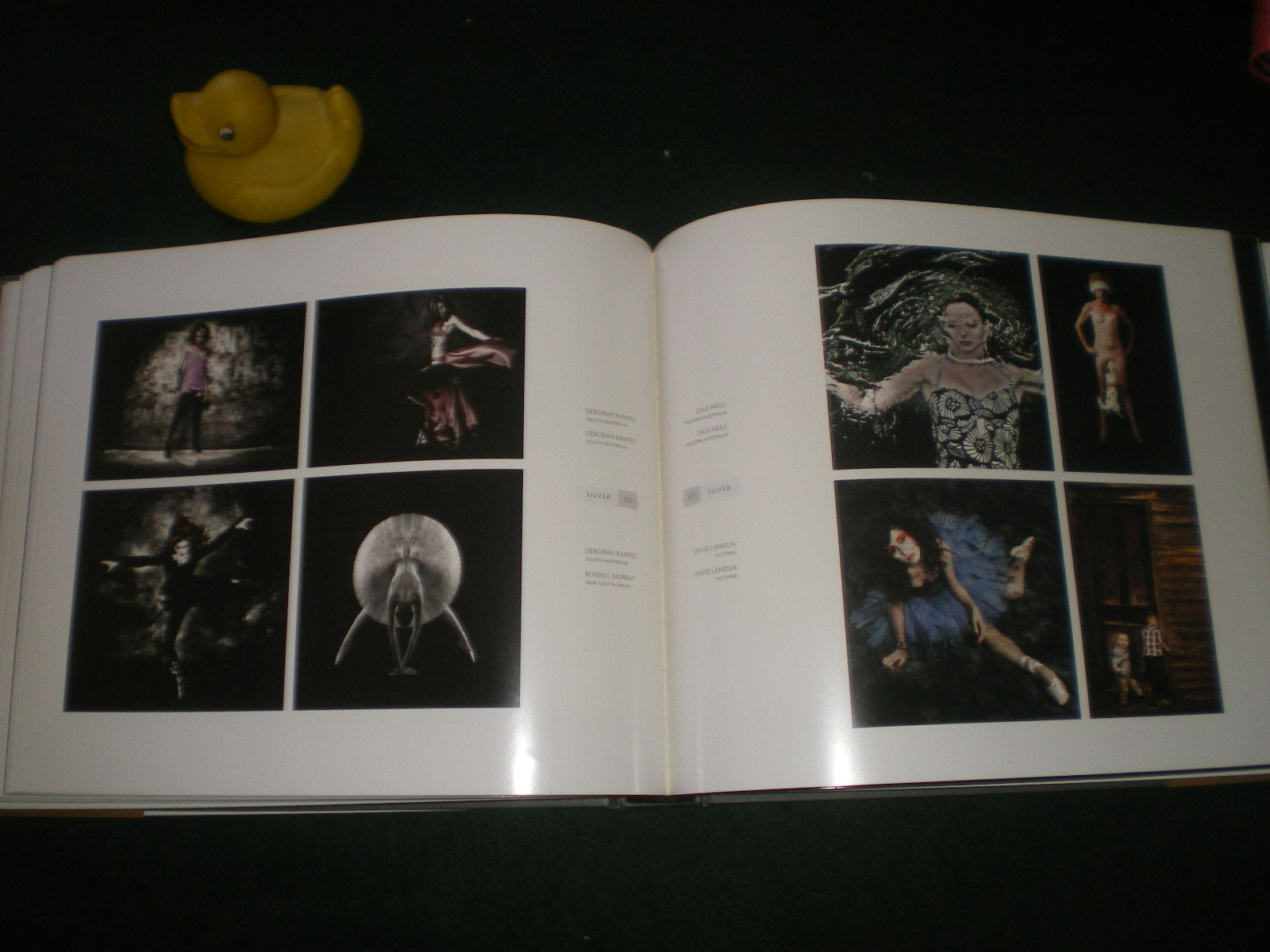 Canon/AIPP Australian Professional Photography Awards No.34 2010 Australian - Institute Australian of Professional Photography - Image 5