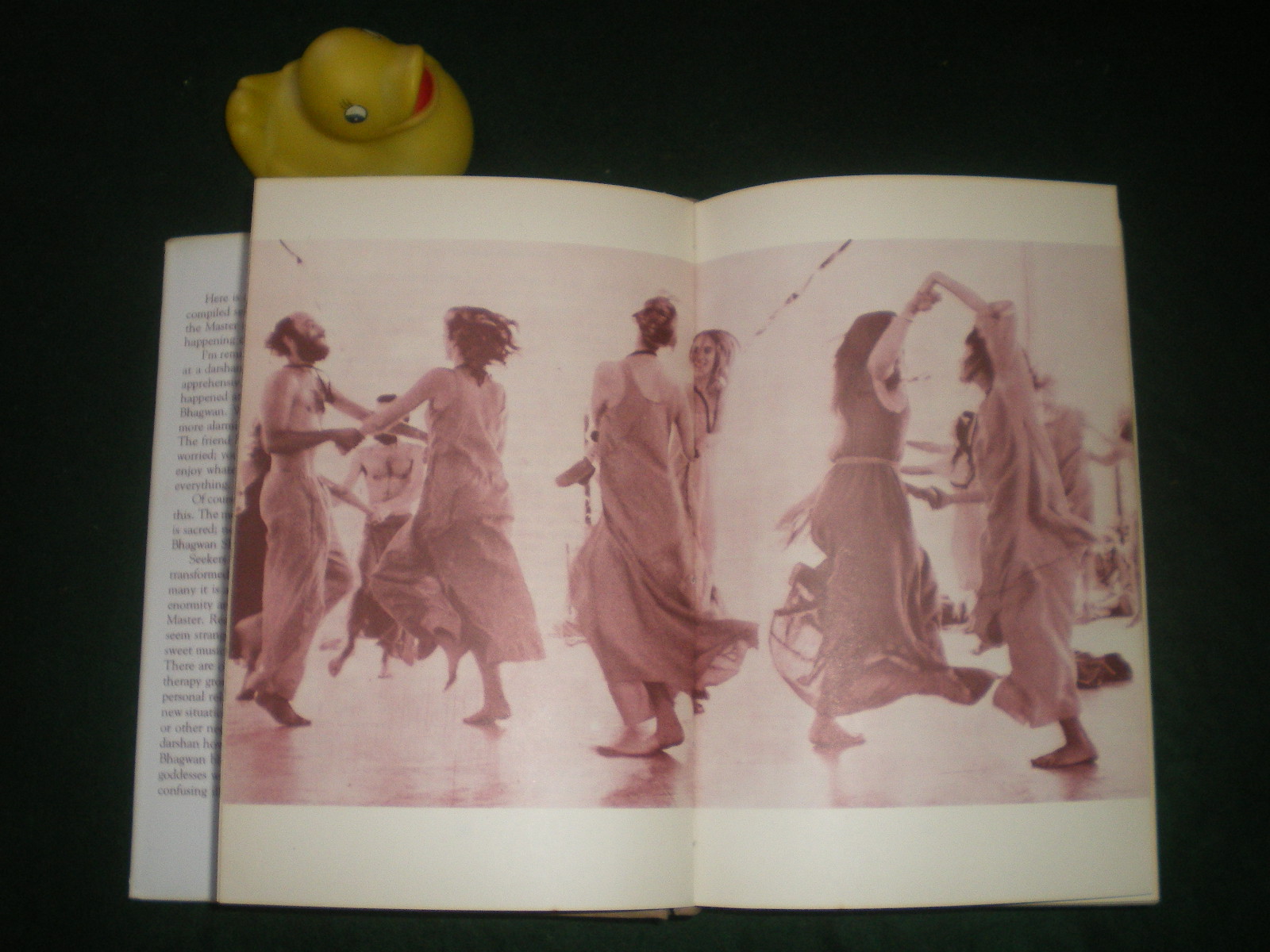 The Shadow Of The Whip (1st ed ltd 5000) by Bhagwan Shree Rajneesh. Rajneesh Foundation, 1978 - Image 5