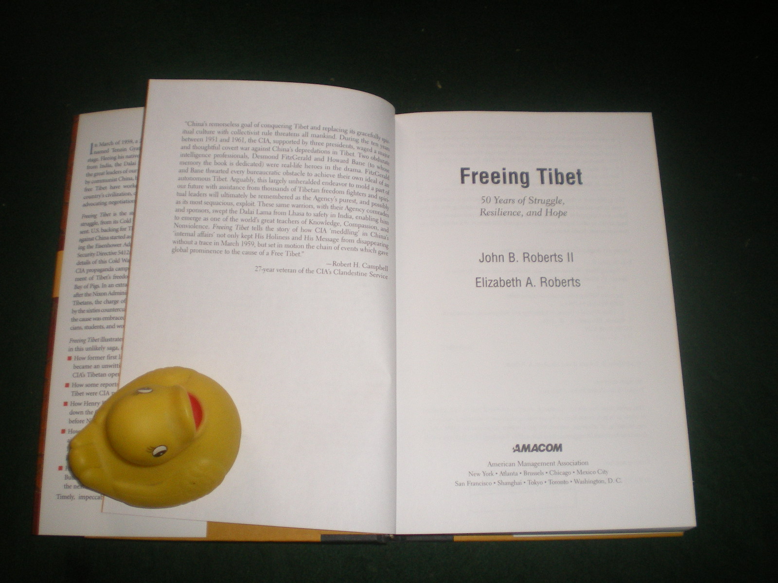 7 assorted and interesting books On Tibet,, All very good.. Price is per book. - Image 8