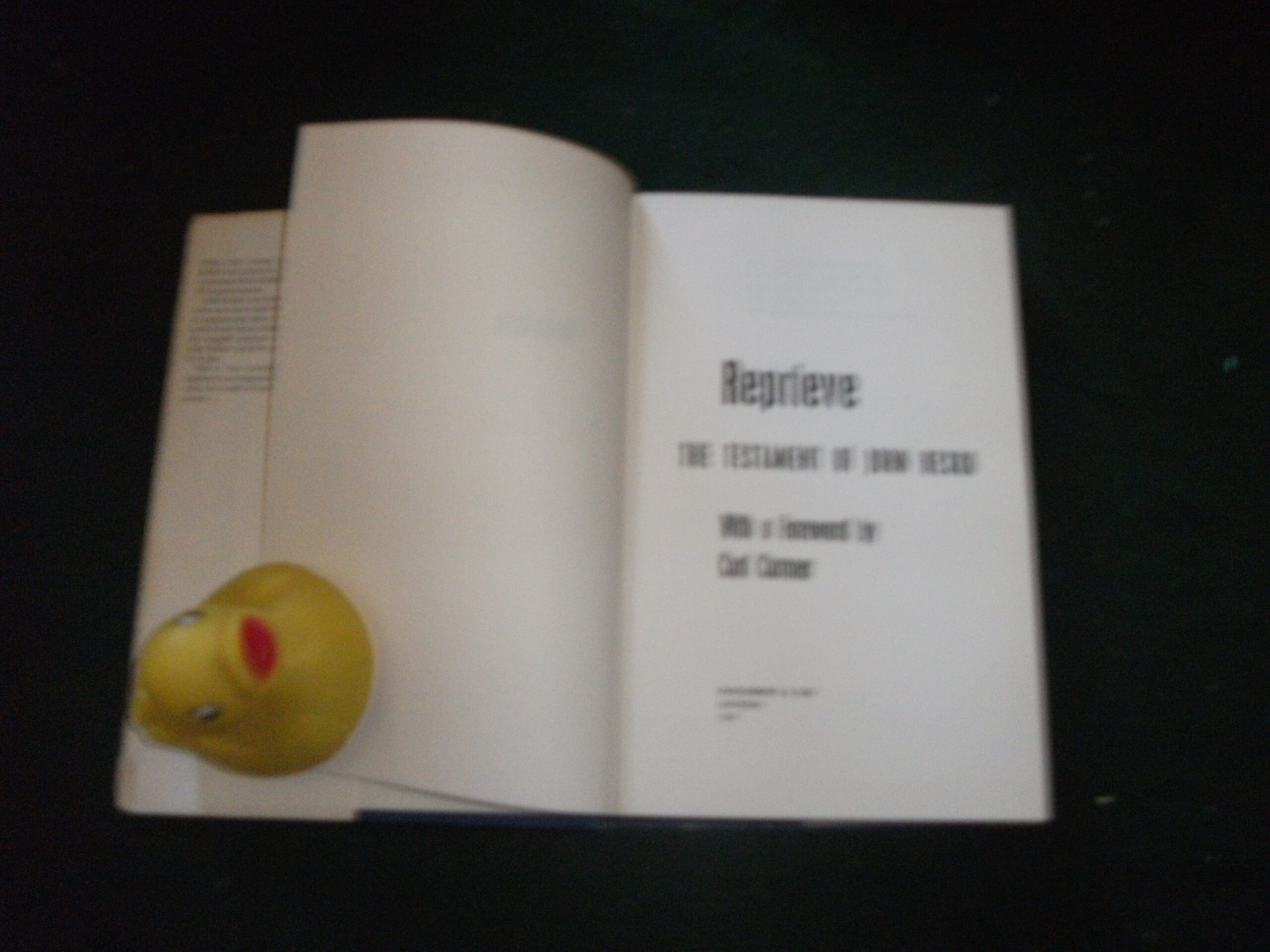 Reprieve: The Testament Of John Resko by John Resko - Image 3