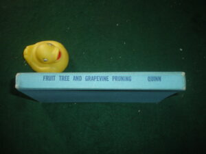 Fruit Tree And Grapevine Pruning by George Quinn