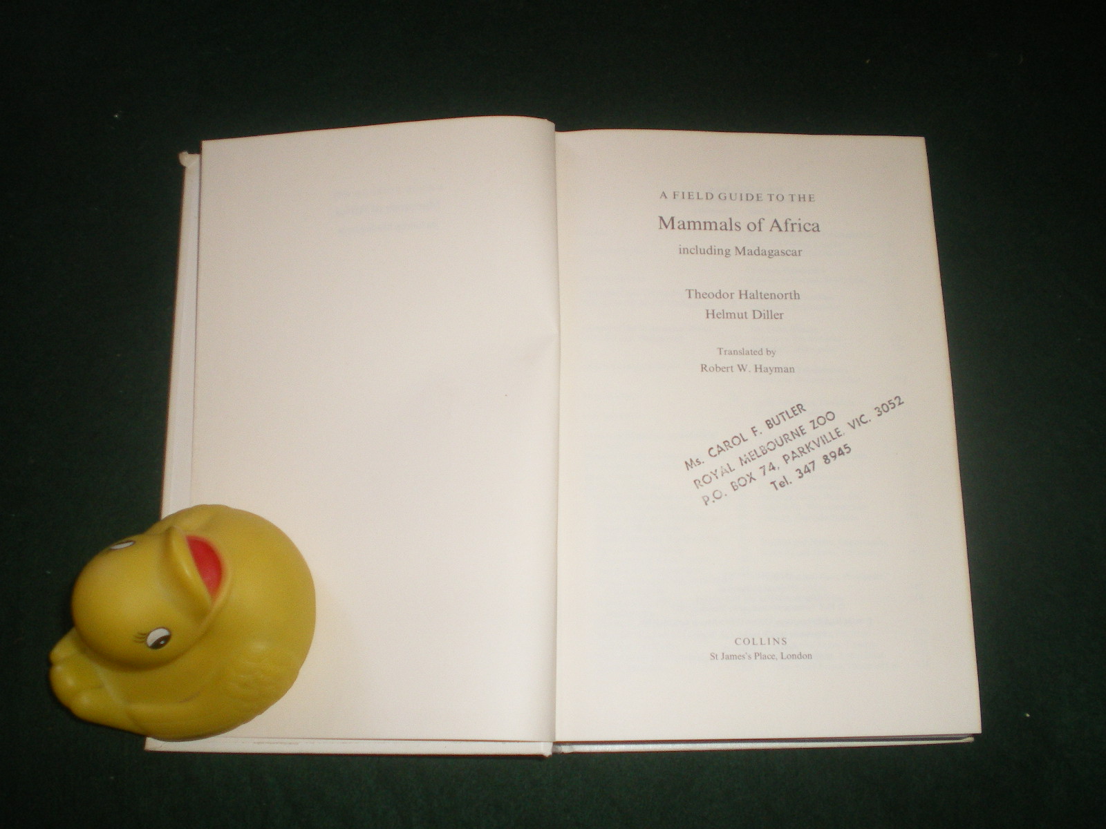 A Field Guide To The Mammals Of Africa -Including Madagascar (1st English-language edition) Theodor Haltenworth and Helmut Diller. Collins, 1980. - Image 3
