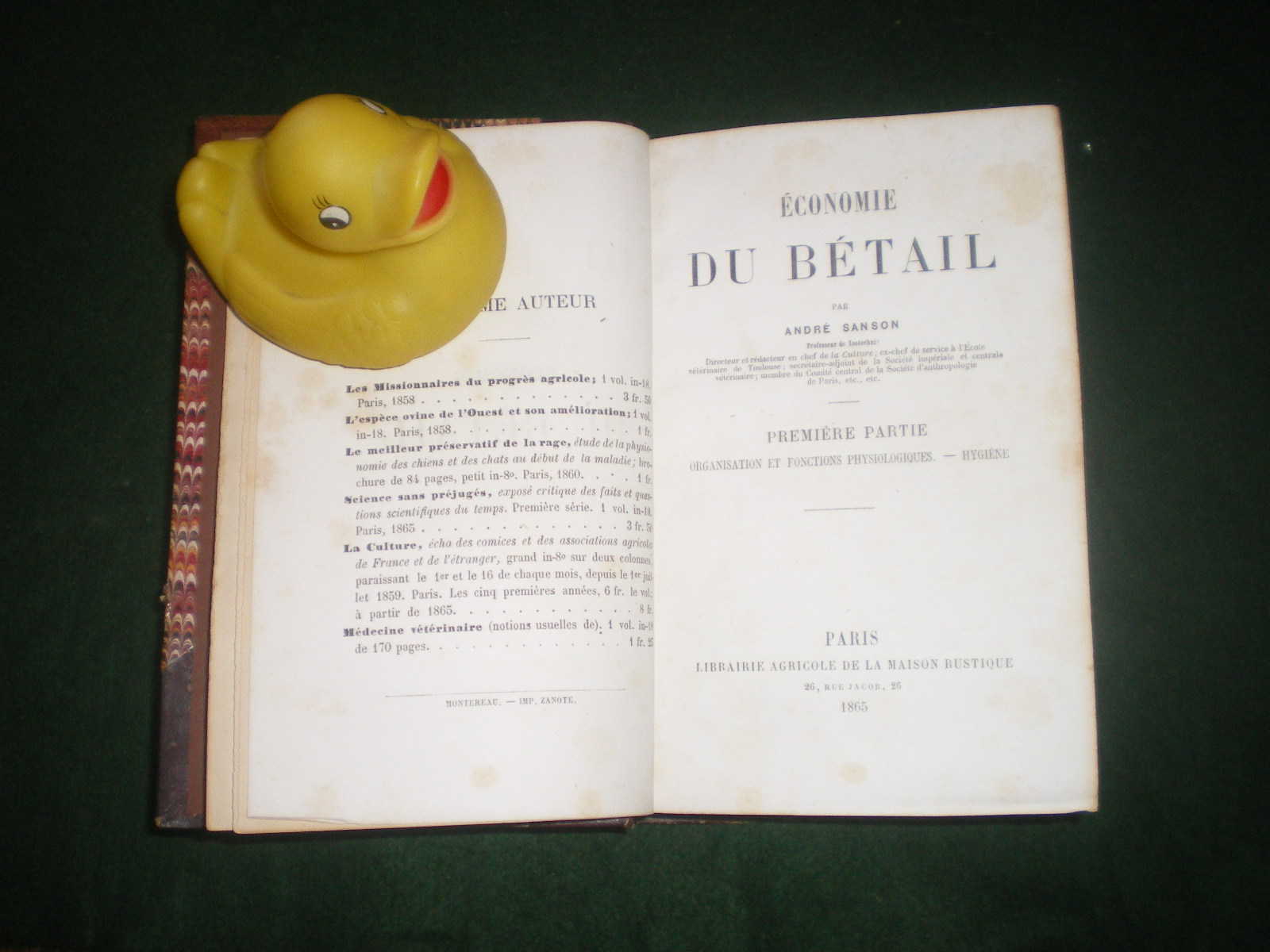 Economie Du Betail Three Volumes (1st editions) by Andre Sanson: Applications Du Zootechnie Vols I and II (1867); Economie Du Betail (1865). Librairie Agricole de la Rustiqu. $450 for the set - Image 3