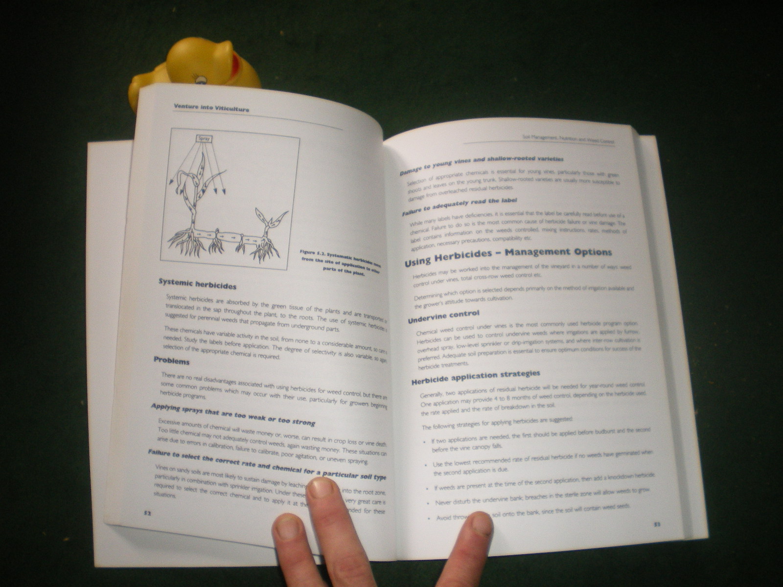 Venture Into Viticulture: An Introduction To The Principles And Practices Of Viticulture by Tom Crossen - Image 4