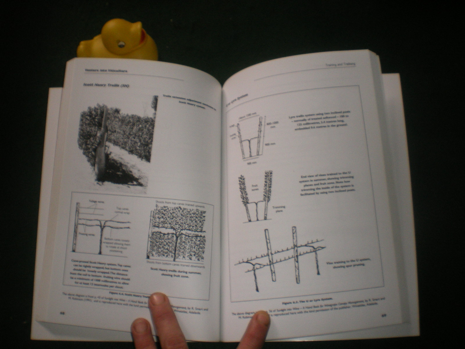 Venture Into Viticulture: An Introduction To The Principles And Practices Of Viticulture by Tom Crossen - Image 5