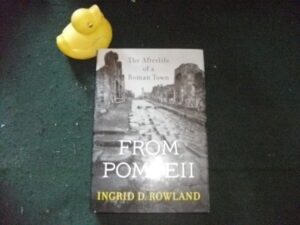 From Pompeii: The Afterlife Of A Roman Town (1st edition) by Ingrid D. Rowland. The Bellknap Press of Harvard University Press, 2014