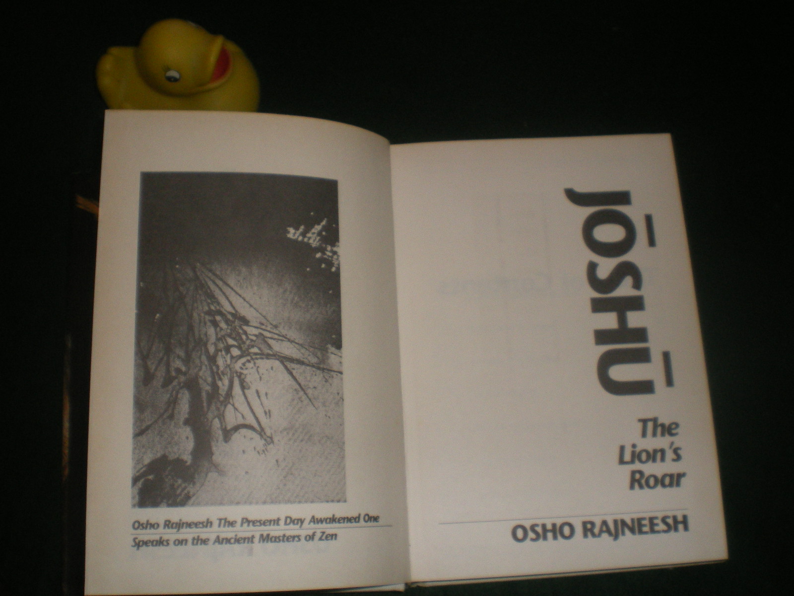 Joshu: The Lion's Roar (1st edition) by Osho Rajneesh. The Rebel Publishing House, 1988. - Image 3