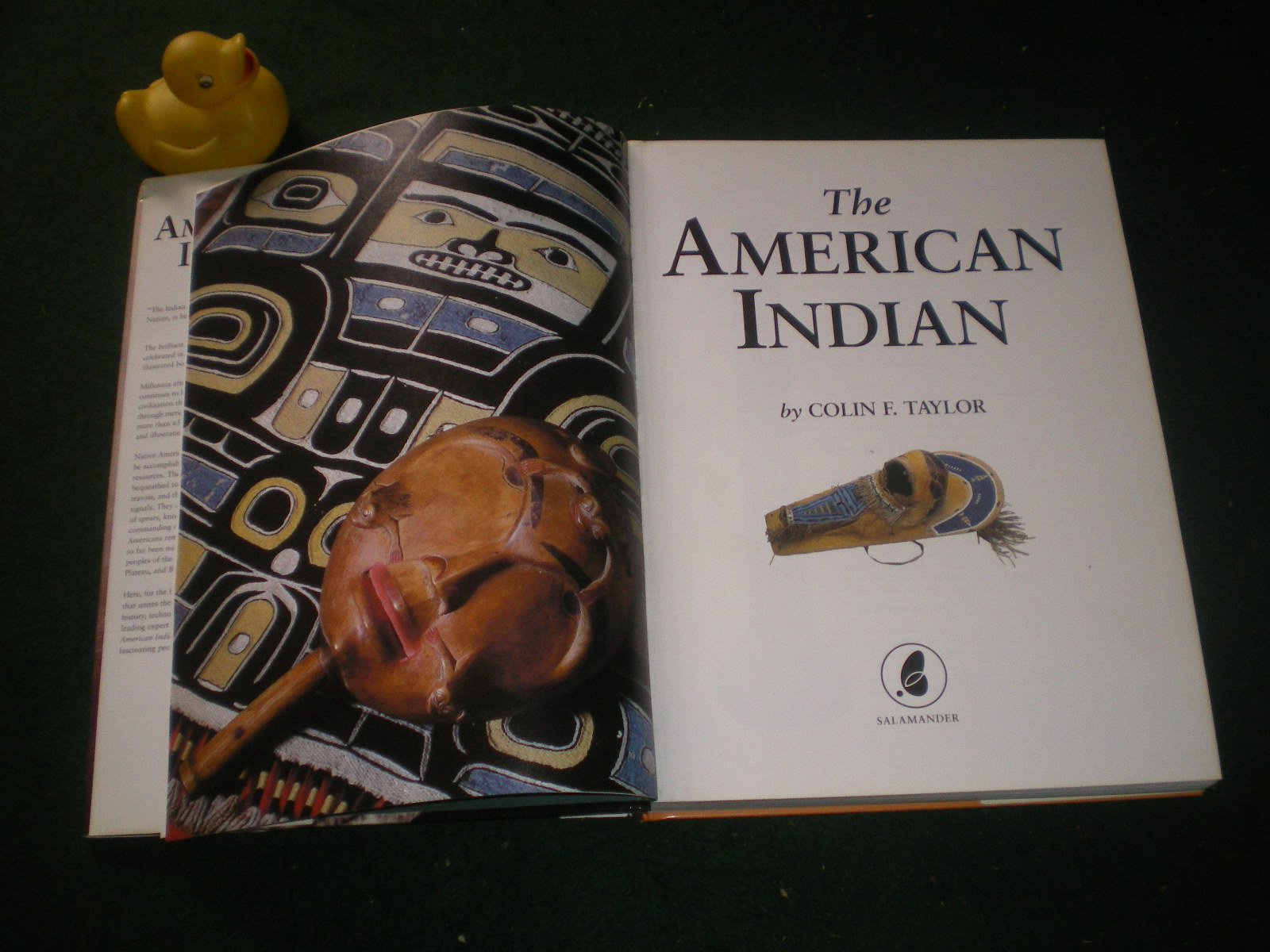 The American Indian by Colin F. Taylor - Image 7