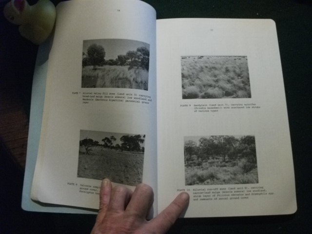Three Baseline Studies by A.J. Brownscombe et al - Australian Atomic Energy Commission Research Establishment Lucas Heights. May 1978 - Image 3
