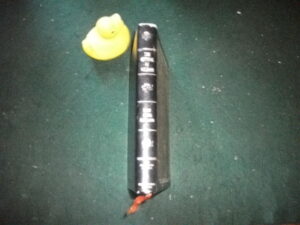 The Getting Of Wisdom by Henry Handel Richardson. Illustrated by Kay Dattner