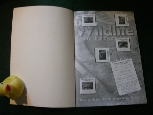 Urban Wildlife: More Than Meets The Eye by Daniel Lunney and Shelley Burgin (eds). Royal Zoological Society of New South Wales, 2004 - Image 4