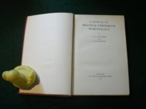 A Manual Of Practical Vertebrate Morphology by J. T. Saunders ad S. M. Manton. Oxford at the Claredon Press, 1931