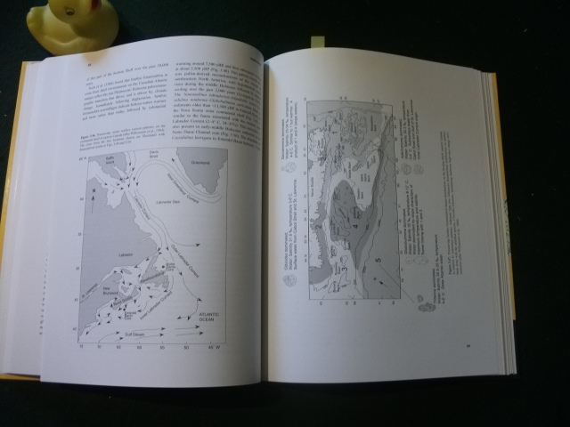 Monitoring In Coastal Environments Using Foraminefera And Thecamoebian Indicators by David B. Scott et al. Cambridge University Press, 2001 - Image 4