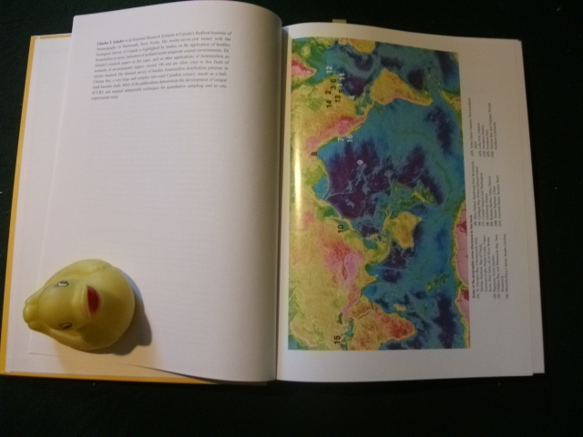 Monitoring In Coastal Environments Using Foraminefera And Thecamoebian Indicators by David B. Scott et al. Cambridge University Press, 2001 - Image 3