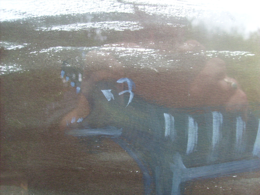 - Image 3