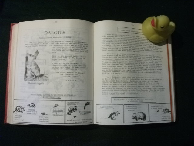 Fauna Warden's Bulletin - Department Of Fisheries and Fauna, Western Australia 1967-70 - Image 3