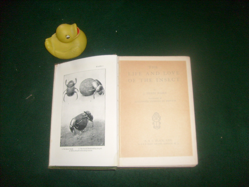 The Life And Love Of The Insect by J.H. Fabre. A & C Black, 1928 - Image 4