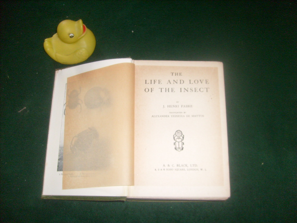 The Life And Love Of The Insect by J.H. Fabre. A & C Black, 1928 - Image 3