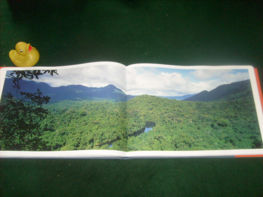 The World's Wild Places (1st edition) by Colin Prior. Constable, 2006 Mint condition - Image 5