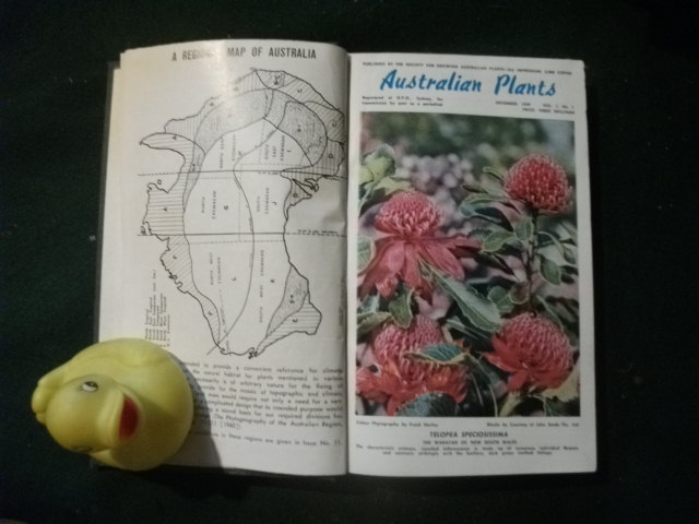 Australian Plants by W. H. Payne (ed). The Society For Growing Australian Plants - Image 4