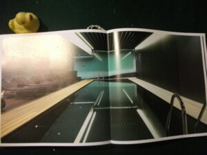 The Pool Book (Deluxe 1st edition) by Daniela Santos Quartino. FKG/LOFT Publishing, 2011