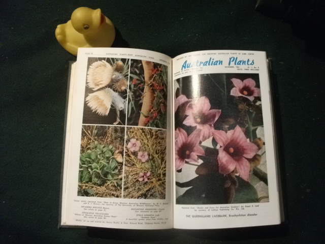 Australian Plants by W. H. Payne (ed). The Society For Growing Australian Plants - Image 3