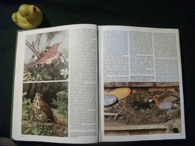 Marshall Cavendish Encyclopedia Of Gardening Volumes I - IV by The Royal Horticultural Society. Marshall Cavendish - Image 5
