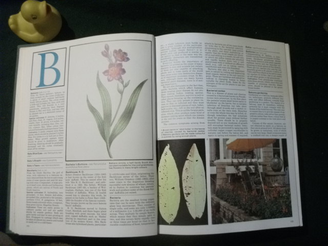 Marshall Cavendish Encyclopedia Of Gardening Volumes I - IV by The Royal Horticultural Society. Marshall Cavendish - Image 4
