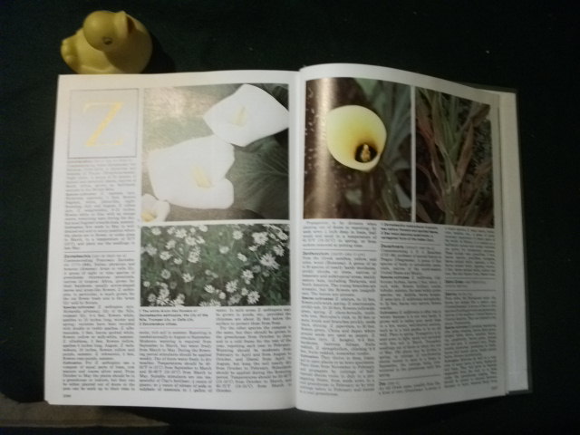 Marshall Cavendish Encyclopedia Of Gardening Volumes I - IV by The Royal Horticultural Society. Marshall Cavendish - Image 3