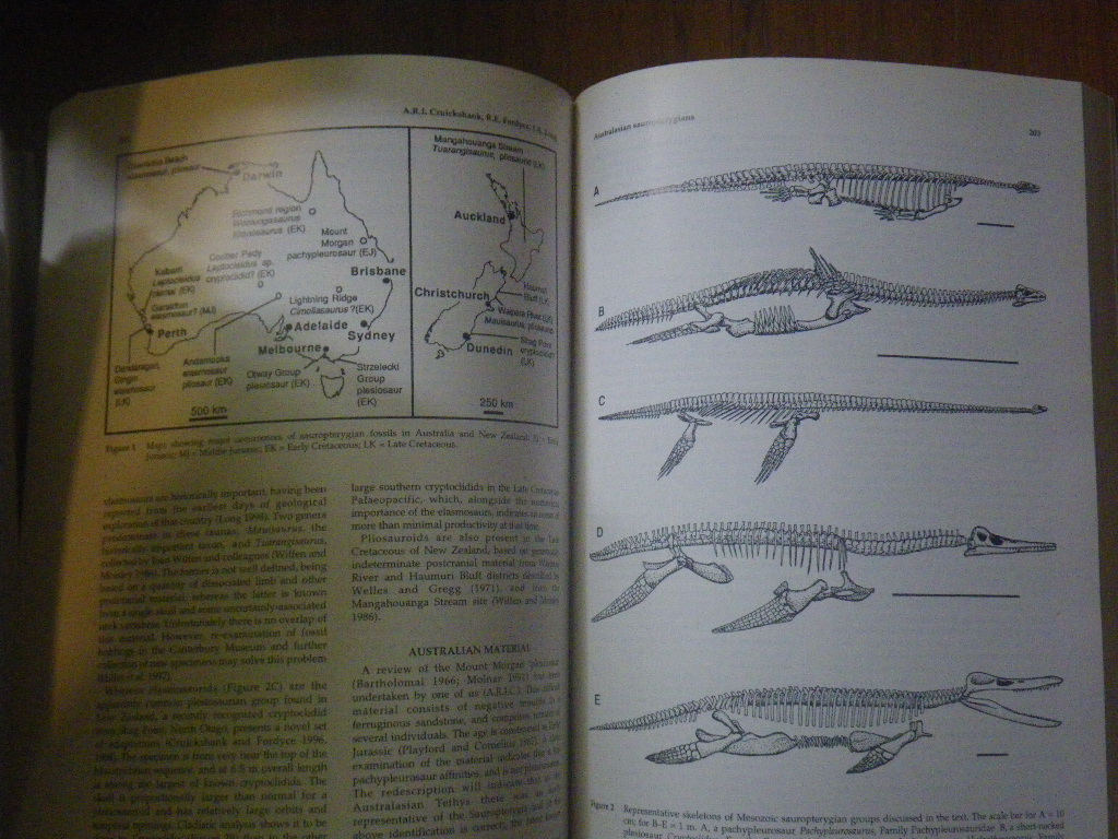Papers In Vertebrate Palaeontology by Alexander Baynes and John A. Long (eds) Records of the Western Australian Museum No. 57 - Image 3
