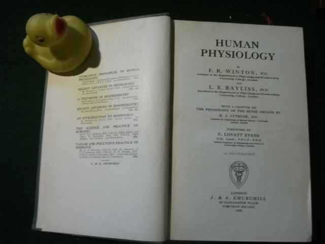 Human Physiology (1st edition) by F. R. Winton and L. E. Winton. J. & A. Chuurchill, 1930 - Image 5