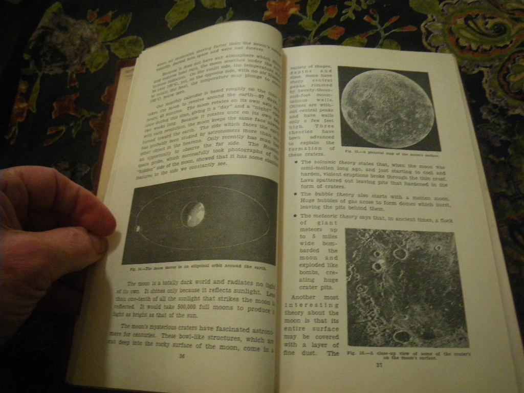 Science A... Second Year Education department WA 5 booklets bound circa 1960 - Image 7