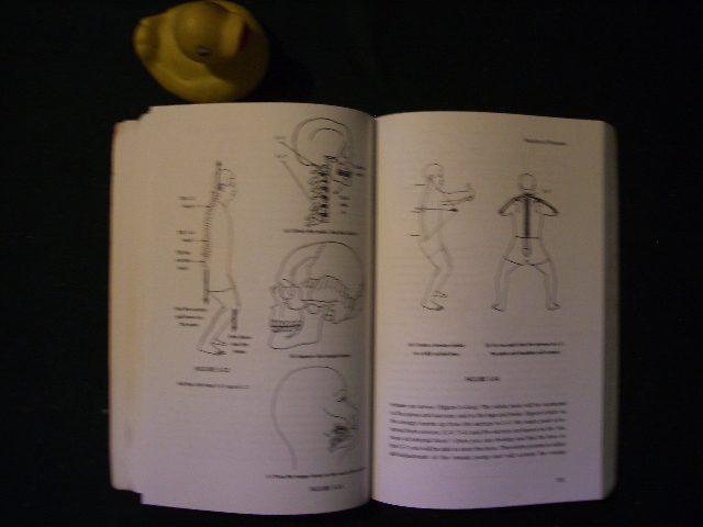 Iron Shirt Chi Kung by Mantak Chia. Healing Tao Books, 1994 - Image 3